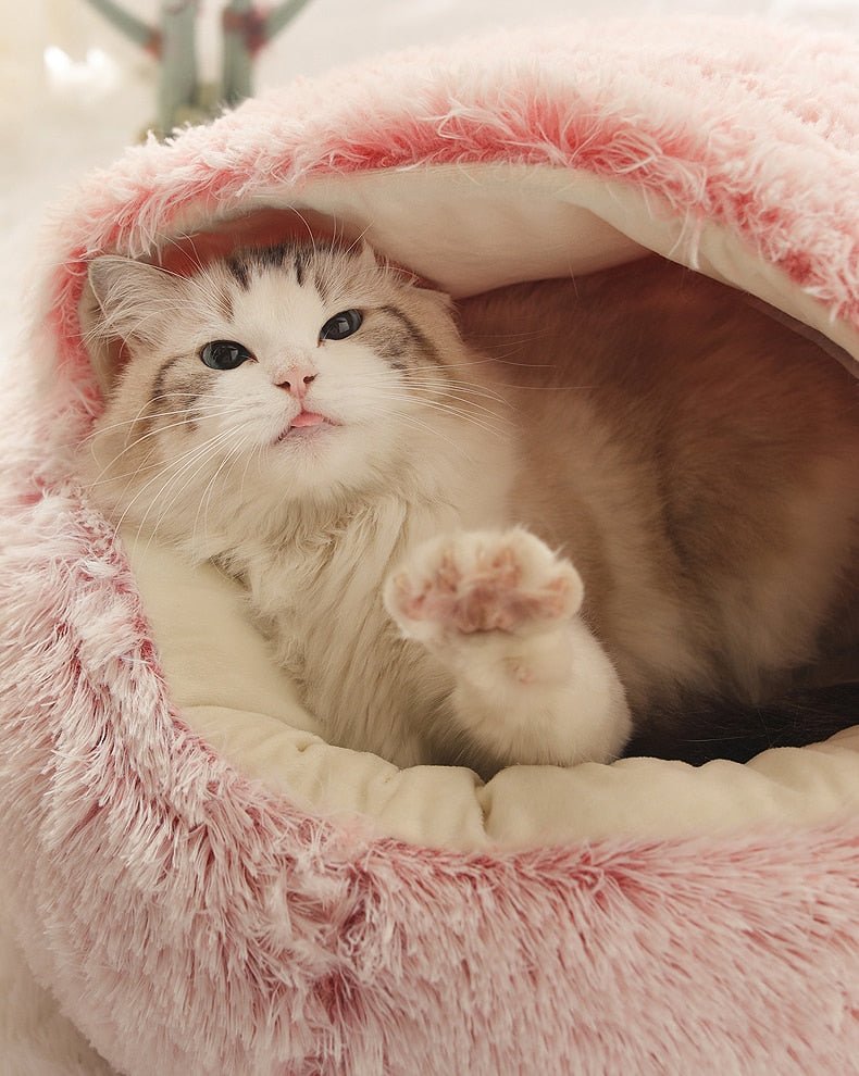 2-in1 Pet Bed - NovaNexa