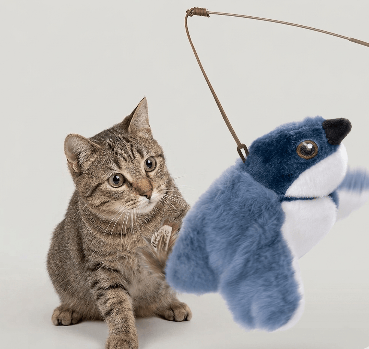 Flapping Bird Cat Toy - NovaNexa