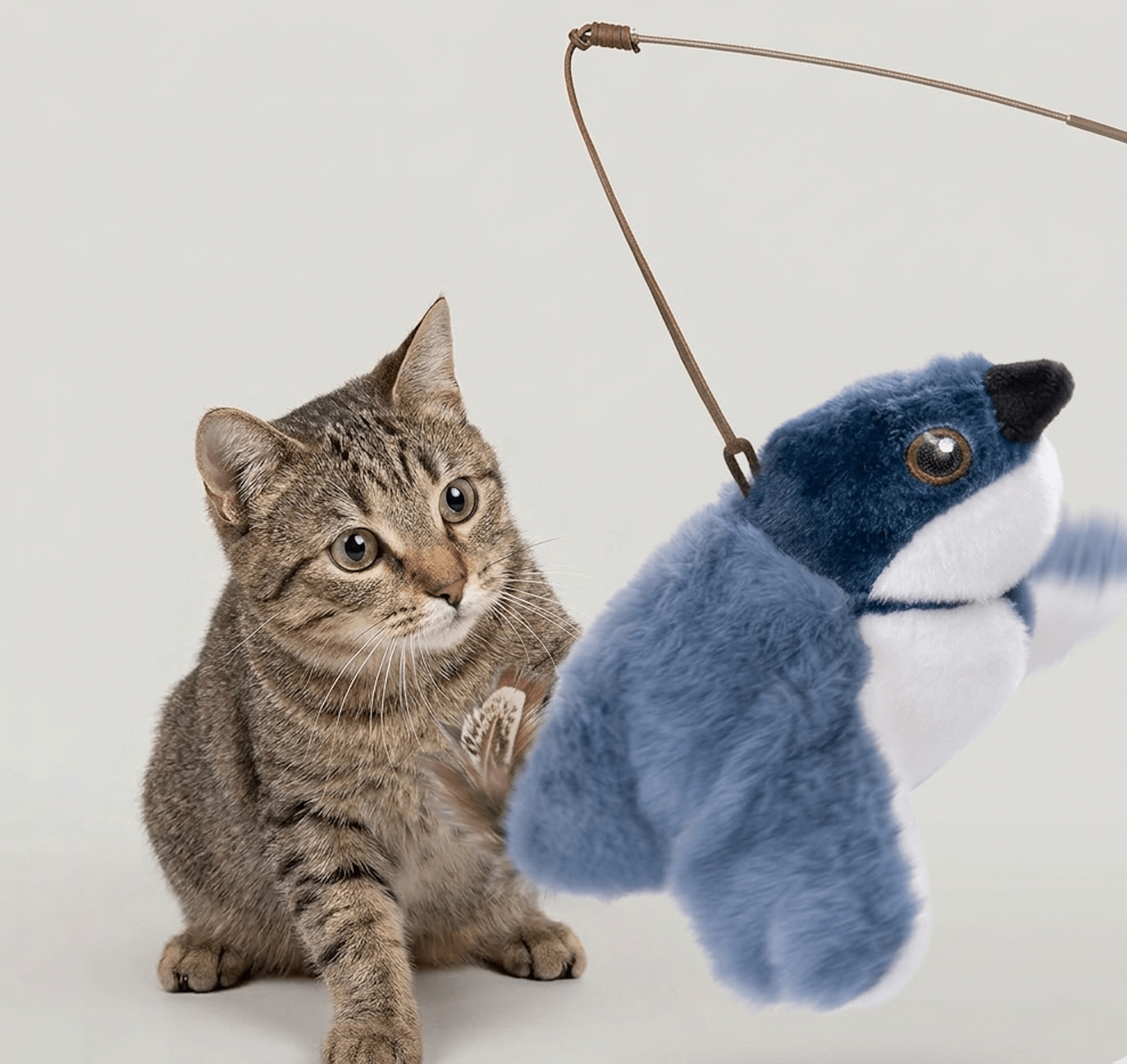 Flapping Bird Cat Toy - NovaNexa