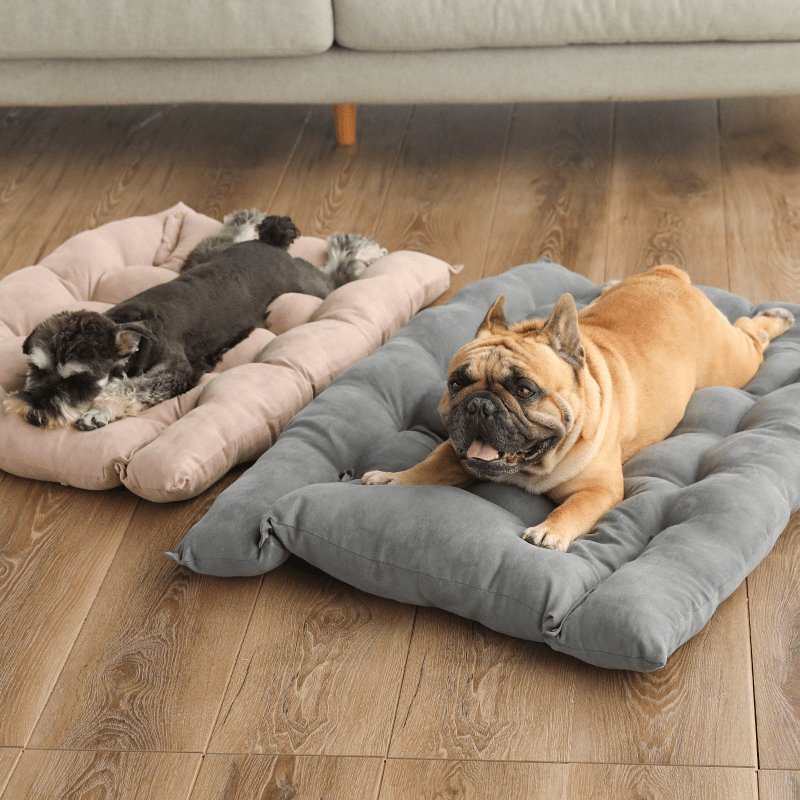 Folding Nest Sofa Bed - NovaNexa