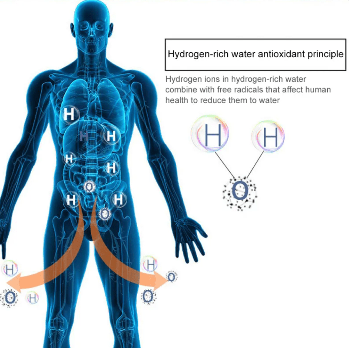 Hydrogen Water Cup - NovaNexa