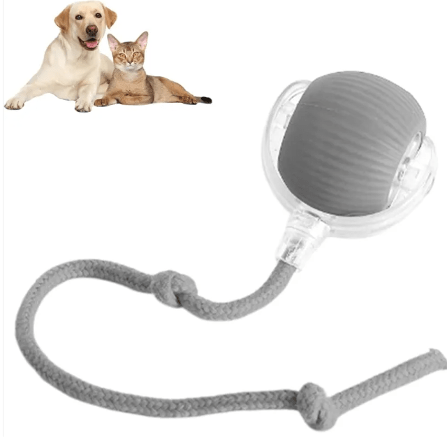Smart Rolling Pet Ball - NovaNexa