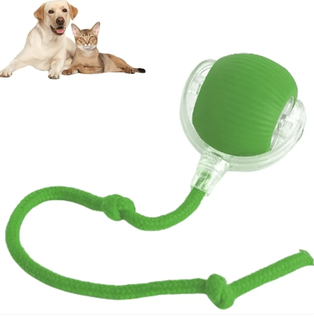 Smart Rolling Pet Ball - NovaNexa